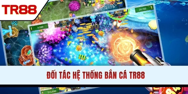 Đối tác liên kết với hệ thống